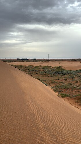 IMG_1454