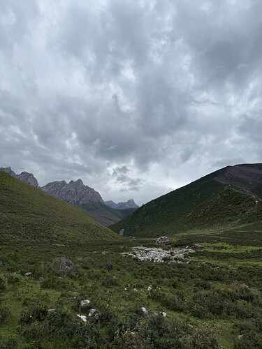 IMG_0968
